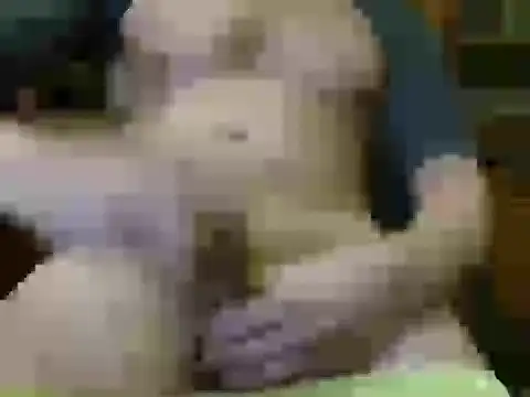 Snapshot of italian_max_sex chatting on November 21, 11:25 pm italian max sex online show from November 21, 11:25 pm