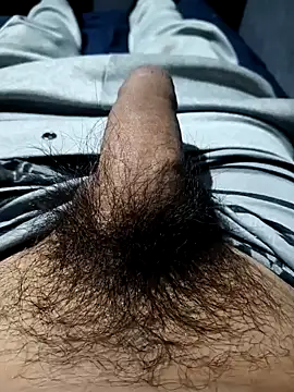 Aaia93 online show from November 3, 5:52 am