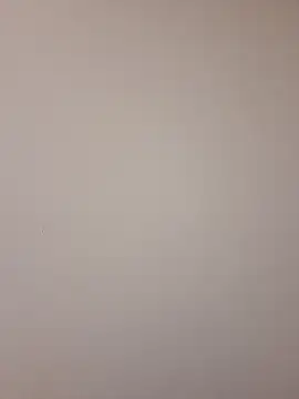 Mr nightfall online show from November 13, 2:32 am