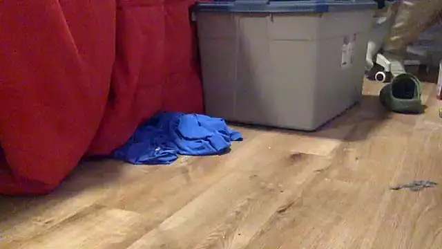 edger4lif3 online show from September 19, 4:40 pm