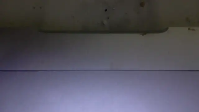 edger4lif3 online show from November 15, 6:59 pm