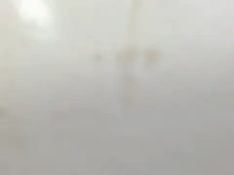 Penelopee Rouse online show from October 20, 7:25 pm