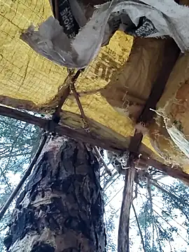 Snapshot of Janvi_Jaitly chatting on November 23, 1:16 am Janvi Jaitly online show from November 23, 1:16 am