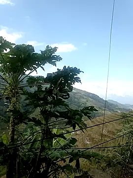 Suni2345 online show from October 17, 2:37 am