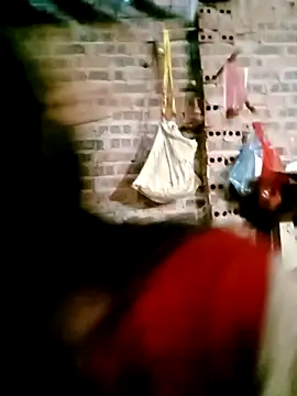 Suni2345 online show from December 1, 8:30 am