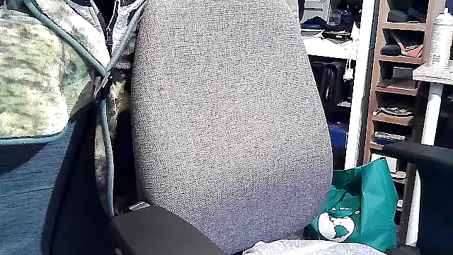 Snapshot of georgew62 chatting on September 20, 11:50 pm georgew62 online show from September 20, 11:50 pm