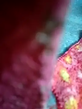 Snapshot of Sharmili_xx chatting on September 25, 8:23 pm Sharmili xx online show from September 25, 8:23 pm