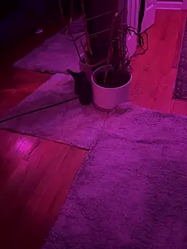 Snapshot of twunkwitadunk chatting on November 22, 3:22 pm twunkwitadunk online show from November 22, 3:22 pm