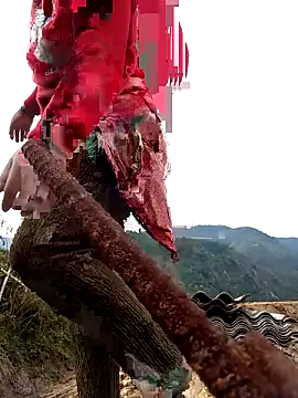 Snapshot of SSexykute3456 chatting on November 24, 1:49 am SSexykute3456 online show from November 24, 1:49 am