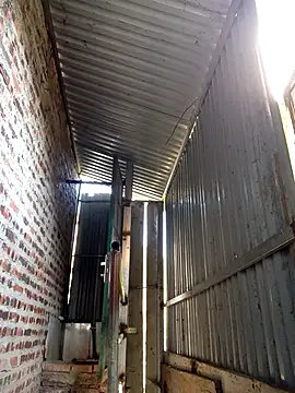 Snapshot of SSexykute3456 chatting on November 27, 6:59 am SSexykute3456 online show from November 27, 6:59 am