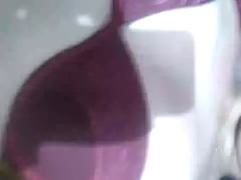 Snapshot of Cachorrinha2025 chatting on September 21, 7:54 am Cachorrinha2025 online show from September 21, 7:54 am