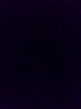 Snapshot of Cachorrinha2025 chatting on November 21, 2:05 pm Cachorrinha2025 online show from November 21, 2:05 pm