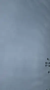 Snapshot of lulu5211 chatting on October 26, 9:37 am lulu5211 online show from October 26, 9:37 am