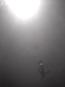 Hott cutgirl online show from October 16, 12:33 am