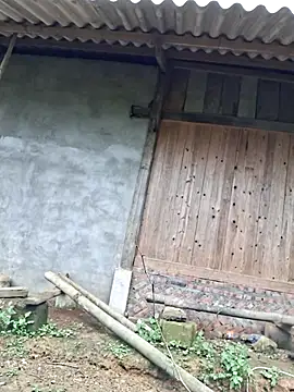 xuxulovezz online show from November 9, 6:55 am