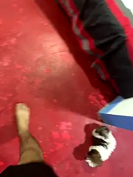 hot duo16 online show from October 29, 4:15 am