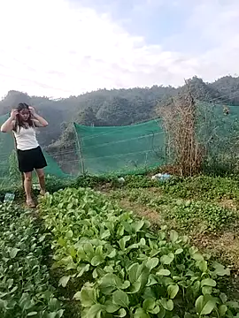 Snapshot of Meomeo-meo chatting on November 21, 8:35 am Meomeo-meo online show from November 21, 8:35 am