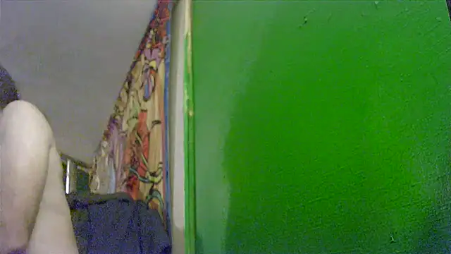 Snapshot of HippieDad333 chatting on November 25, 8:36 am HippieDad333 online show from November 25, 8:36 am