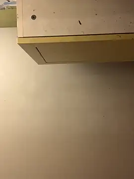 chtentation online show from December 15, 4:50 am