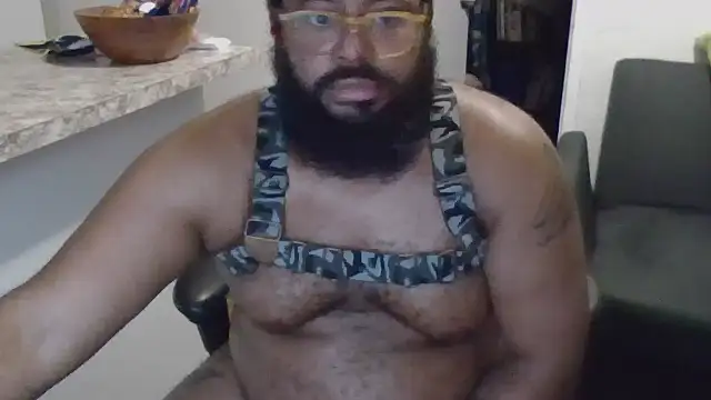 bear named j online show from October 5, 1:53 pm