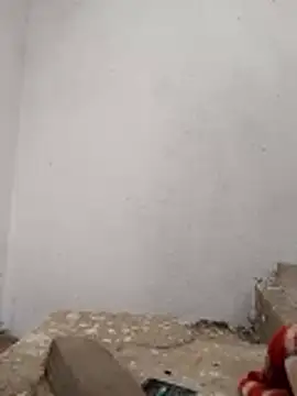 PEEHU-50 online show from November 28, 3:20 am