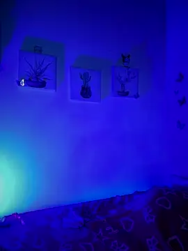 Snapshot of Solaangel_ chatting on December 17, 11:44 pm Solaangel online show from December 17, 11:44 pm