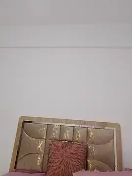 Snapshot of hot_inaas chatting on October 5, 1:53 pm hot inaas online show from October 5, 1:53 pm