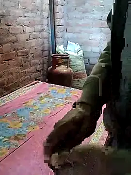 Rani 089 online show from November 13, 3:49 am