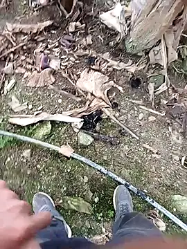 Sikici0734 online show from November 19, 9:20 am