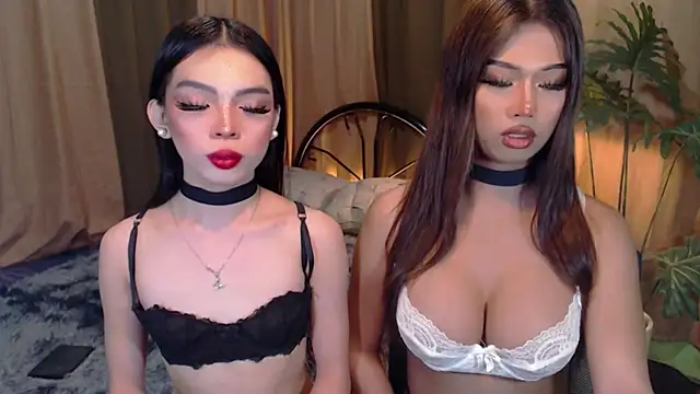 TWINKTRANSSHANEL online show from October 6, 4:21 am