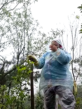 miomio-12 online show from November 18, 2:28 am