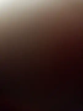 pn12345 online show from November 18, 5:34 am