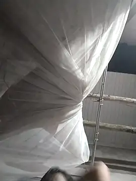 Jeassi-sica online show from November 26, 2:51 pm