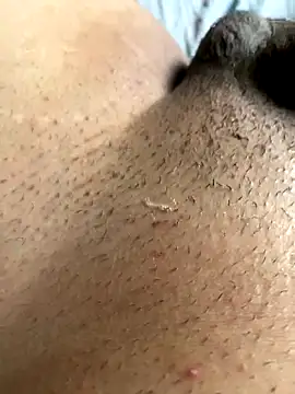 Snapshot of leiteiro2002 chatting on November 5, 8:20 pm leiteiro2002 online show from November 5, 8:20 pm