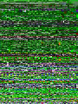 Snapshot of miemie-xx chatting on November 25, 12:38 pm miemie-xx online show from November 25, 12:38 pm