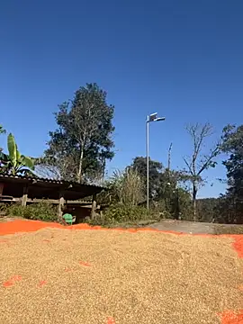 Snapshot of miemie-xx chatting on November 26, 3:18 am miemie-xx online show from November 26, 3:18 am