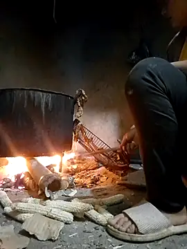 limely- online show from November 19, 1:55 pm