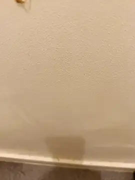 Snapshot of _Gabriela_5Live chatting on November 10, 5:12 pm Gabriela 5Live online show from November 10, 5:12 pm