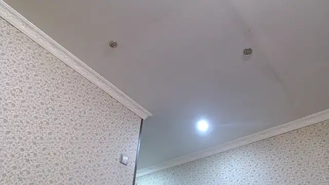 maybe doll online show from October 21, 8:20 pm