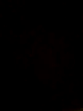 camilo44467 online show from November 23, 8:30 pm