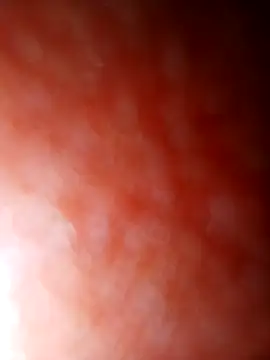 jhbswto online show from October 30, 9:48 pm