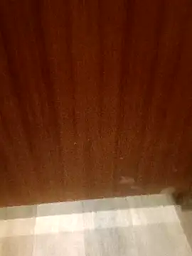 leeya14 online show from October 11, 4:12 am