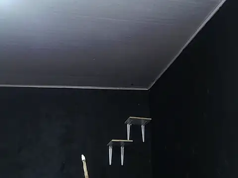 Liastark online show from November 30, 10:41 am