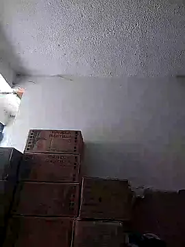 Cristal-sm online show from November 20, 2:28 pm