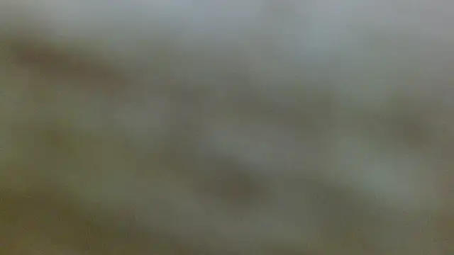 Axel Stones  online show from November 21, 1:21 pm