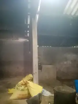 Myzak- online show from October 18, 11:38 pm