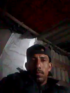 Orlao25cm online show from October 18, 8:04 am