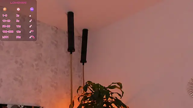 david lux online show from October 29, 1:02 pm