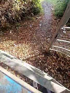 bbyxklaus online show from November 5, 10:26 am