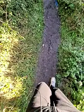 bbyxklaus online show from November 26, 9:43 am